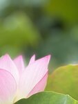 IMG_7940