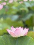 IMG_7941