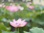 IMG_7943