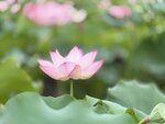 IMG_7944