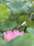 IMG_8005
