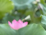 IMG_8006