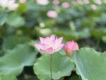 IMG_8007