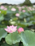 IMG_8008