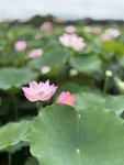 IMG_8011