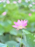 IMG_8012
