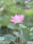 IMG_8013