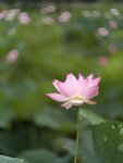 IMG_8014