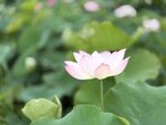 IMG_8015
