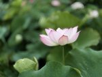 IMG_8016