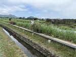 IMG_8017
