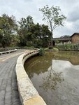 IMG_8086