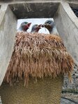 IMG_8096