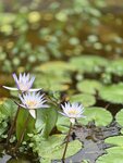 IMG_8106