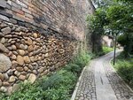 IMG_8111