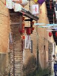 IMG_8183