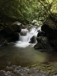 IMG_8253