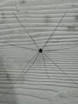 IMG_8261