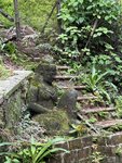 IMG_8507