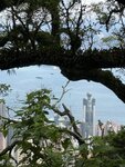 IMG_8509