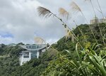 IMG_8535