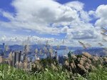 IMG_8546