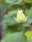 IMG_8655