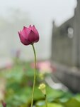 IMG_8663
