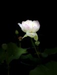 IMG_8668