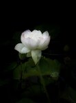 IMG_8677