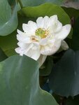 IMG_8688