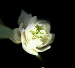 IMG_8707