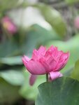 IMG_8711