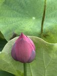 IMG_8714