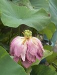 IMG_8719