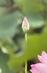 IMG_8721