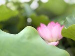 IMG_8728