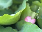 IMG_8729