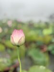 IMG_8739