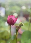 IMG_8742