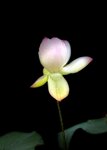 IMG_8746