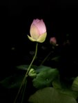 IMG_8751