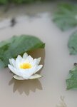IMG_8755