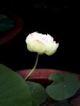 IMG_8763