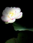 IMG_8769