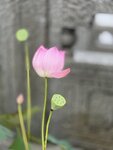 IMG_8772