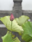 IMG_8775