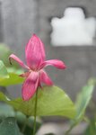 IMG_8777