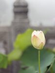 IMG_8779