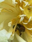 IMG_8782
